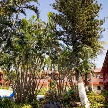 Los Andes Coatzacoalcos