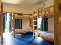 Green Nest Hostel, North Goa, Baga-Arpora-Anjuna Hotels in Arpora