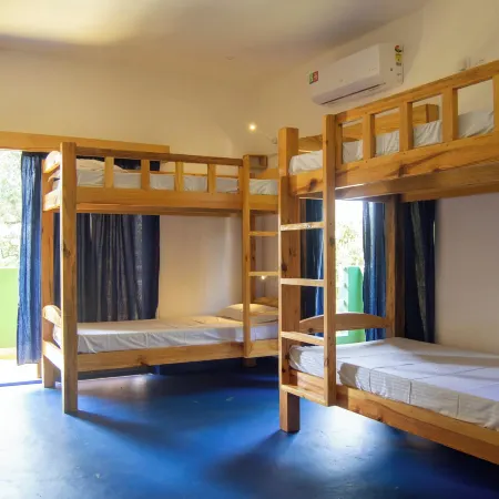 Green Nest Hostel, North Goa, Baga-Arpora-Anjuna