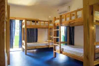 Green Nest Hostel, North Goa, Baga-Arpora-Anjuna