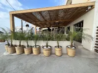 Silver Beach Hotel - Pet friendly