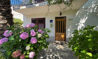 Room-s2 - Double Room in Jelsa on Hvar w