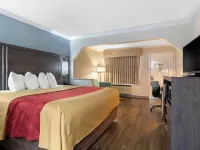Econo Lodge Byron - Warner Robins Hotels in Byron