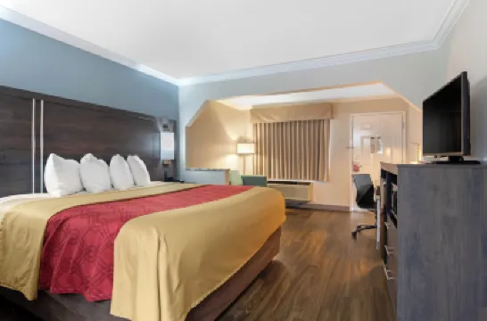 Econo Lodge Byron - Warner Robins Hotels in Byron
