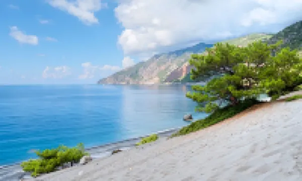 Island Suites