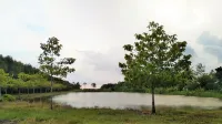 Happy Home Resort Hotels in Khlong Yai