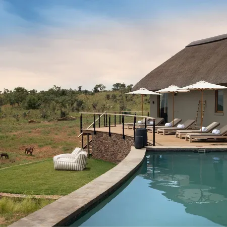 Mhondoro Safari Lodge & Villa