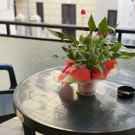 Hotel San Marco
