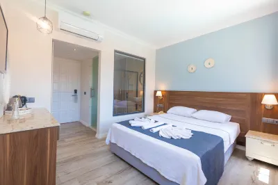 Bronze Hotel Hotels in 