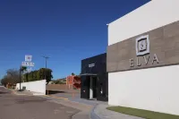 Hotel Elva Hotels in Caborca