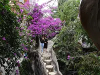 Crazy House Hotels near Bao Dai Palace 3