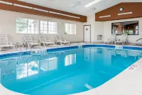 Comfort Suites - piscine