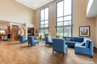 Comfort Suites East Lincoln - Mall Area Hotel a Stevens Creek