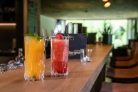 ZillergrundRock Luxury Mountain Resort - Baarit