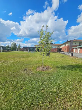 Aurum Hotel Отели в г. Шеллефтео