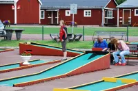 Älvdalens Camping Hotel di Alvdalen