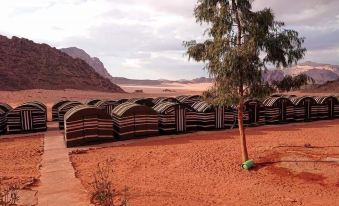 Wadi Rum Light Camp
