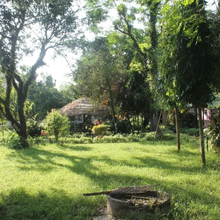 Nature Safari by Hotel the Canopy