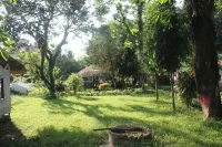 Nature Safari by Hotel the Canopy