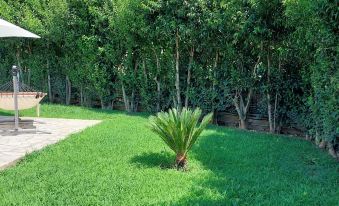 Cha Nanakas Village Inn