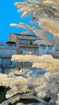 Hotel Relais du Postillon فنادق في أنتيب