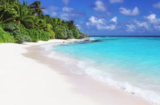 Hakuna Maldives Hotels near Thoddoo Island