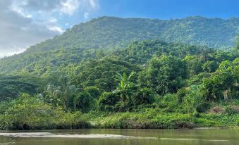 Tayrona Cachaco River Ecohostal