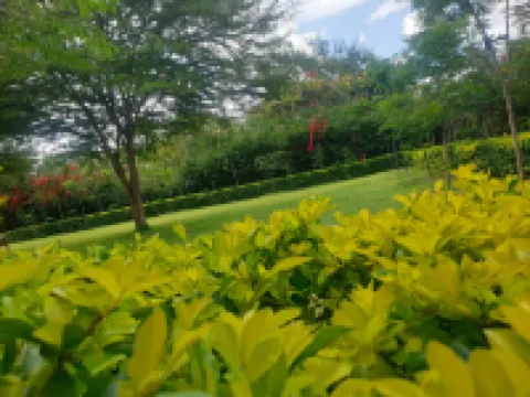 Eden Park Lounge Hotels in Central