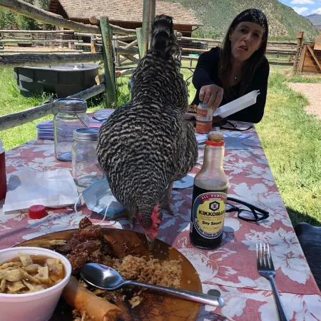 Gorgeous Pet-friendly Boutique Ranch ! Next to  skiing, fishing, rafting