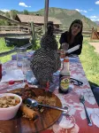 Gorgeous Pet-friendly Boutique Ranch ! Next to  skiing, fishing, rafting - Hot Tub