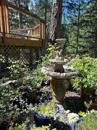 Garden cottage Отели в г. Солт Спринг Айленд