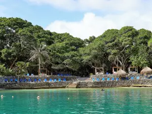 Hotel San Pedro de Majagua