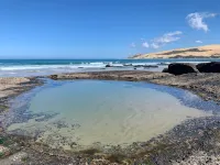 The Green Bach opposite beach- quirky and great for groups and families Hotels in Omapere