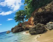 3Bd Pedro Campos, 4 Mins to Beach, Parking & Patio! with Backup Generator! Hotels in Aguadilla