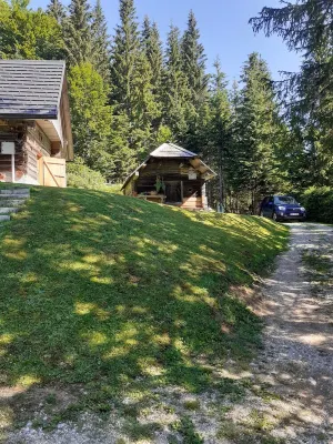 Holzhuette- Bohinj, Pokljuka