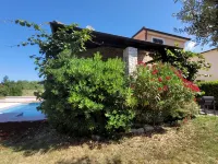 Villa Oleandar with pool in Rogovici near Porec 7 km from the beach Hotels in Rogovici