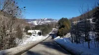 Le C17: Cozy Condo in Historic Village 6 Minutes from the Ski Base!