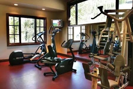 PRICE DROP THIS WEEK! Luxurious Mountain Townhome base of WARM SPRINGS! KETCHUM!