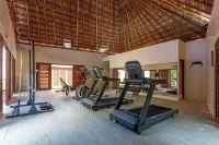 Hotel Shibari - Restaurant & Cenote Club - Gym