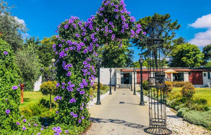 Erettz Dafna Travel Hotel