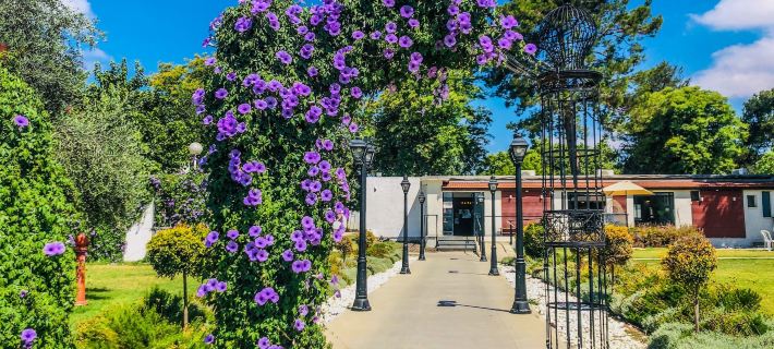 Erettz Dafna Travel Hotel Hotels in Tzfat