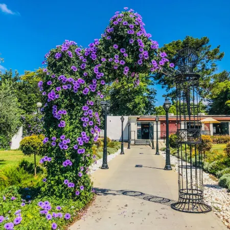 Erettz Dafna Travel Hotel