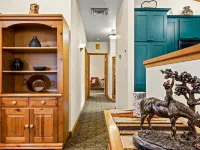 Box Canyon Lodge and Hot Springs Hotels in Ouray County