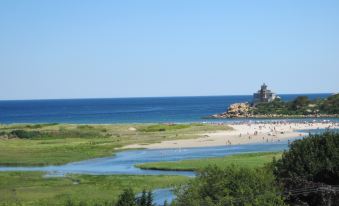 The Vista