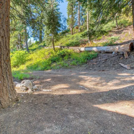 Deck w/ Mountain Views: Cabin in Bear Valley!