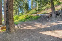 Deck w/ Mountain Views: Cabin in Bear Valley! - Homestays