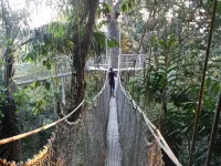 Atta Rainforest Lodge