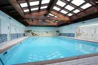 Hotel Abbazia - Pet friendly