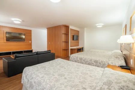 Hotel Plaza Mayor Отели в г. Сан-Каэтану-ду-Сул