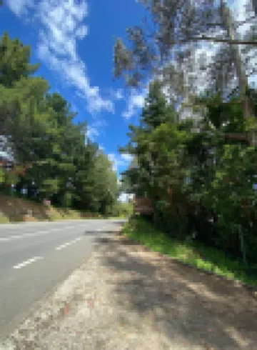 巴伊亞塞萊斯特小木屋